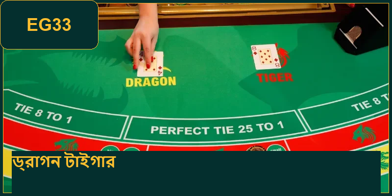 learn-the-most-standard-rules-for-beginners