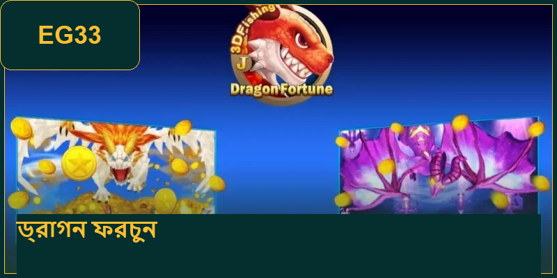 what-is-dragon-fortune
