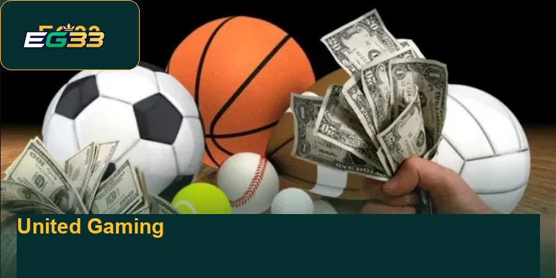 diverse-promotions-and-attractive-offers-every-day