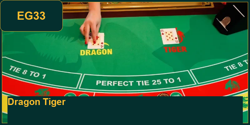 learn-the-most-standard-rules-for-beginners