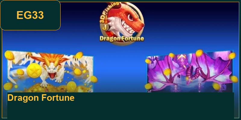 what-is-dragon-fortune